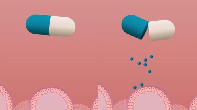药物肠道吸收垂直视频
