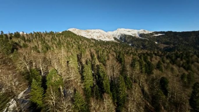 森林冬季山谷树木被雪山山峰环绕，风景如画的全景鸟瞰图