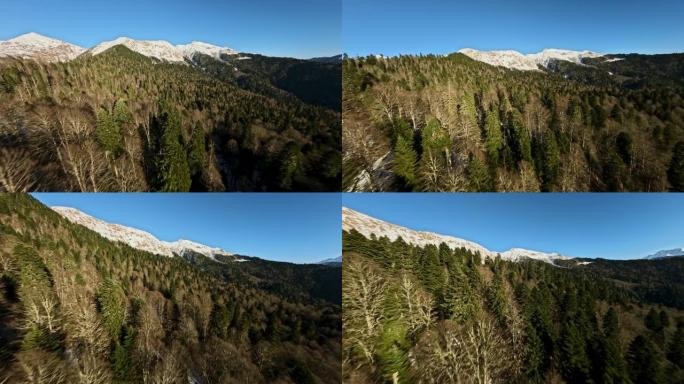 森林冬季山谷树木被雪山山峰环绕，风景如画的全景鸟瞰图