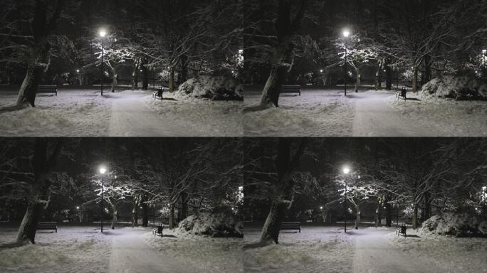 雪公园的夜晚