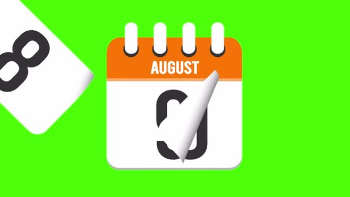 8月14日。日历出现，页面下降到8月14日。绿色背景，色度键 (4k循环)