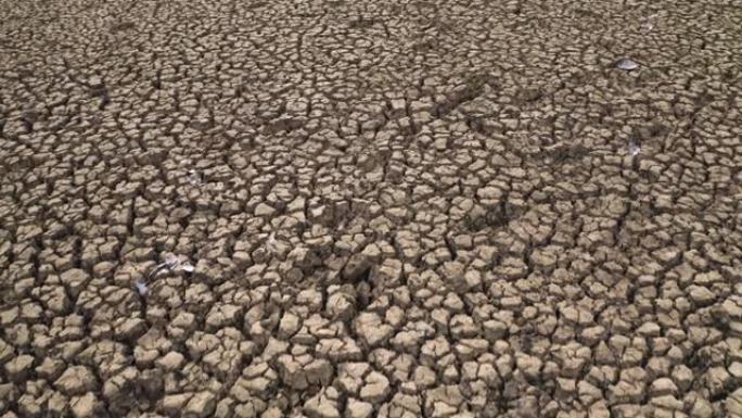干旱的土地有很深的裂缝，排水后的土壤