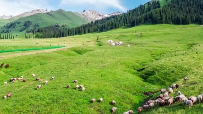 新疆绿色草原自然景观航拍
