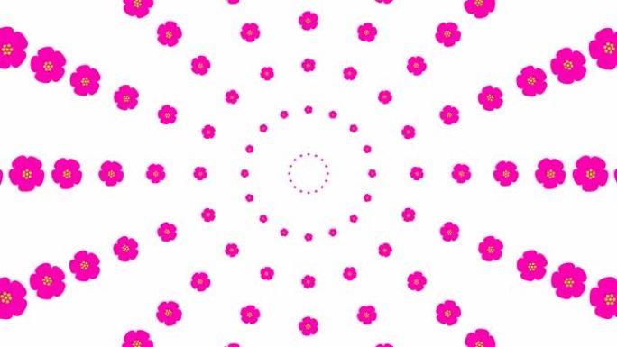 从中心开始动画增加洋红色美丽的花圈。花卉背景。循环视频。春天的概念。矢量插图孤立在白色背景上。