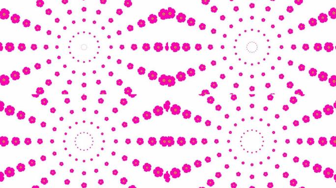 从中心开始动画增加洋红色美丽的花圈。花卉背景。循环视频。春天的概念。矢量插图孤立在白色背景上。