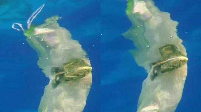 慢动作，一个装满塑料和其他杂物的塑料袋在蓝色的水中缓慢地漂移到地表以下。从船上扔出的垃圾塑料袋。特写