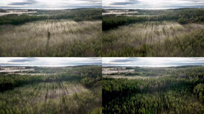 瑞典北部多雾的森林，多云的风景的无人机视频。美丽的瑞典北部，维斯特博滕，乌梅阿。快进飞行，镜头耀斑