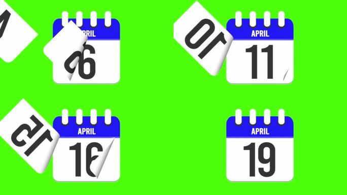 4月19日。日历出现，页面下降到4月19日。绿色背景，色度键 (4k循环)