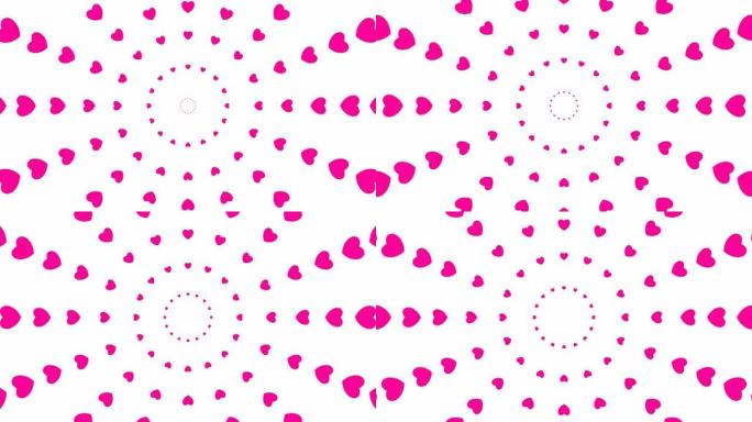 从中心开始动画增加洋红色的心圈。循环视频。矢量插图孤立在白色背景上。