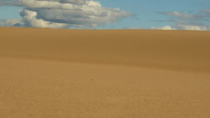 撒哈拉沙漠里美丽的沙丘。