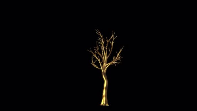 成长金树4k动画