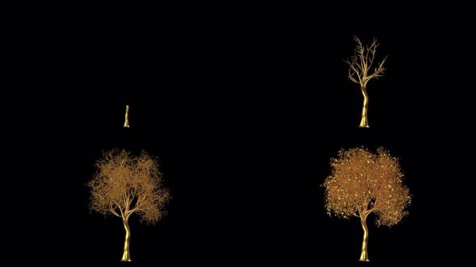 成长金树4k动画