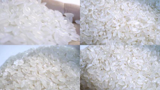 五常大米稻花香 原生态优选有机大米