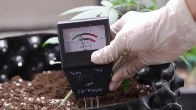 专业白手套手将土壤分析仪放入室内植物土壤表面，以控制气罐中的酸碱度，肥沃测量设备，室内护理种植植物罐