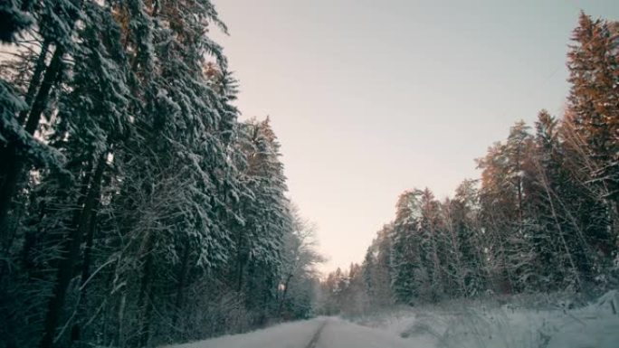 森林POV的冬季雪路