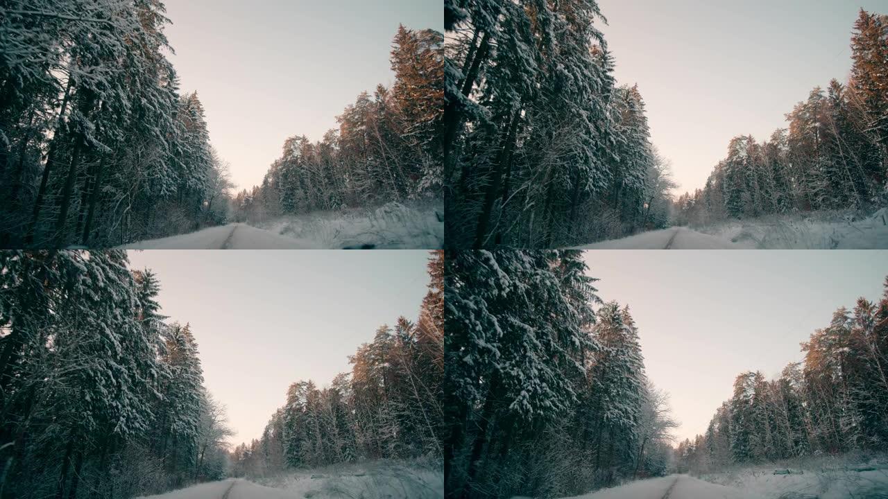 森林POV的冬季雪路