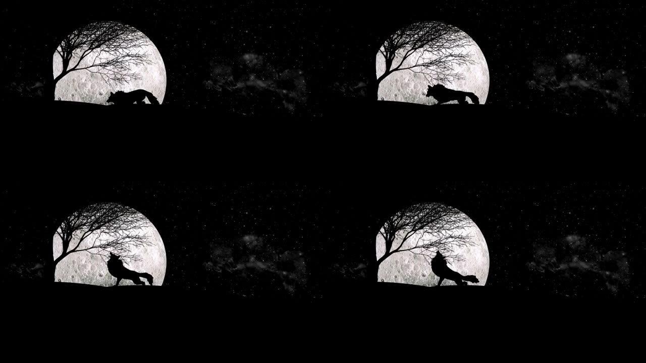月圆之夜狼嗥，