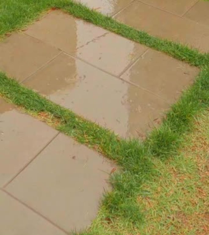 雨天在城市公园的垫脚石