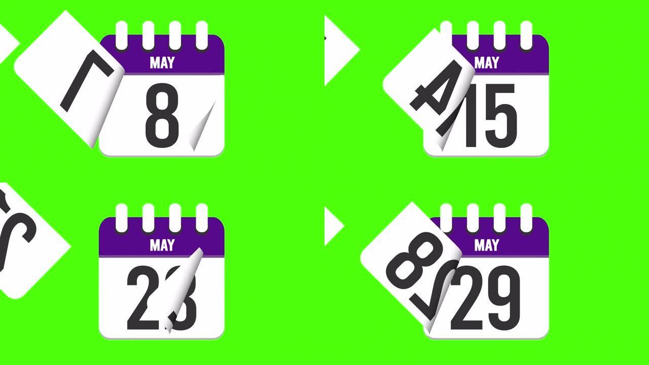 5月31日。日历出现，页面下降到5月31日。绿色背景，色度键 (4k循环)