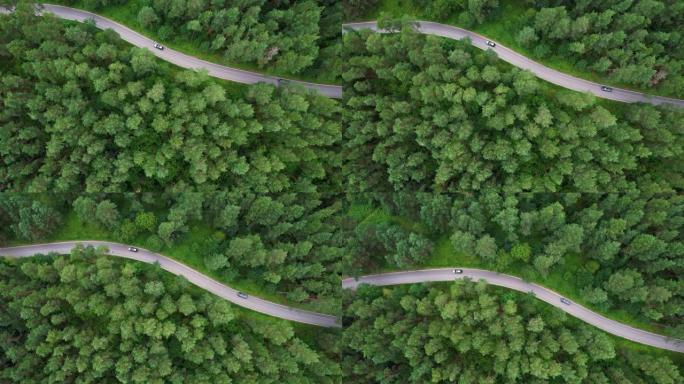 在夏日，鸟瞰图黑色汽车沿着柏油路行驶，穿过广阔的森林。松树森林中汽车行驶的航拍。穿越森林的公路旅行。