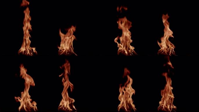 燃烧的火。篝火。黑色背景上燃烧的火焰特写镜头，慢动作