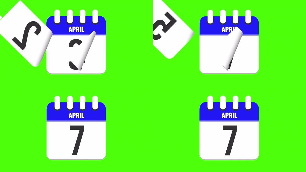 4月7日。日历出现，页面下降到4月7日。绿色背景，色度键 (4k循环)