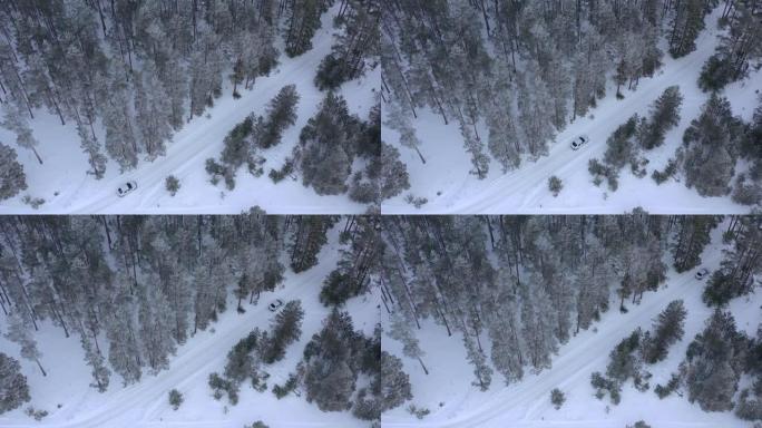 无人机驾驶汽车穿越冰雪覆盖的冬季松树林的鸟瞰图。松枝覆盖着霜