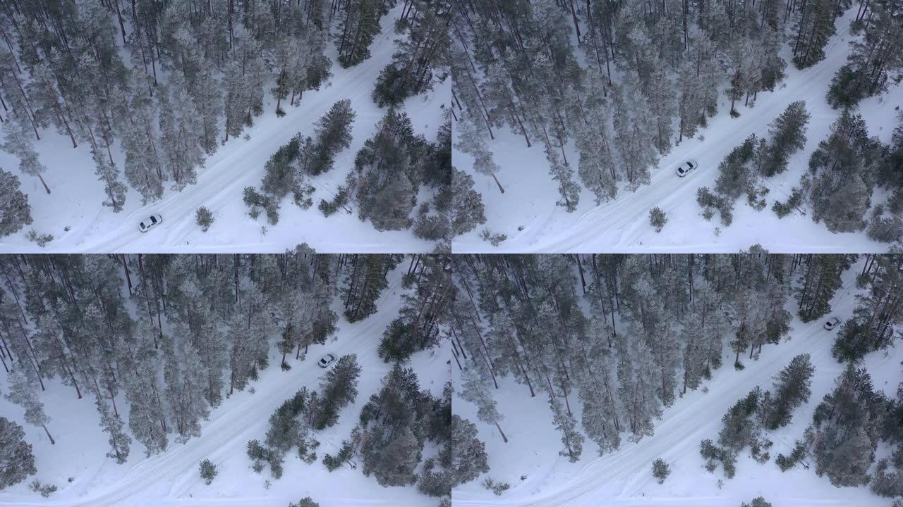 无人机驾驶汽车穿越冰雪覆盖的冬季松树林的鸟瞰图。松枝覆盖着霜