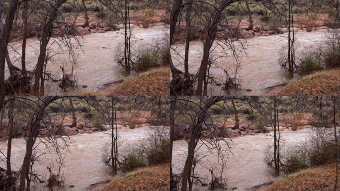 山洪暴发预警期间水位高的维尔京河