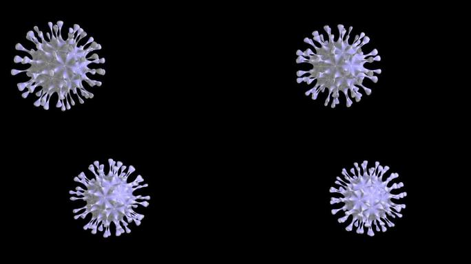 珍珠病毒细胞在黑色背景上移动。