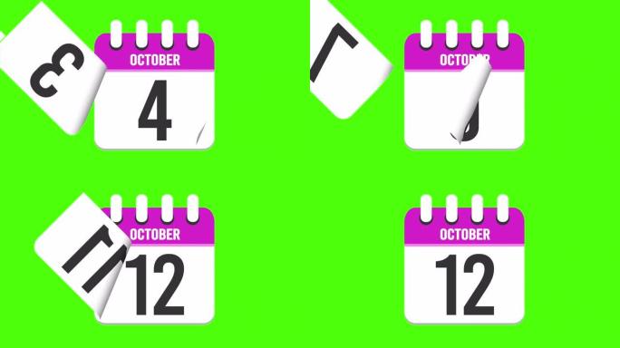 10月12日。日历出现，页面下降到10月12日。绿色背景，色度键 (4k循环)