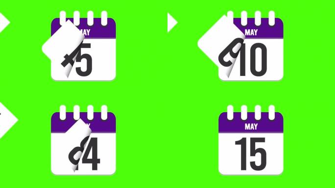 5月15日。日历出现，页面下降到5月15日。绿色背景，色度键 (4k循环)