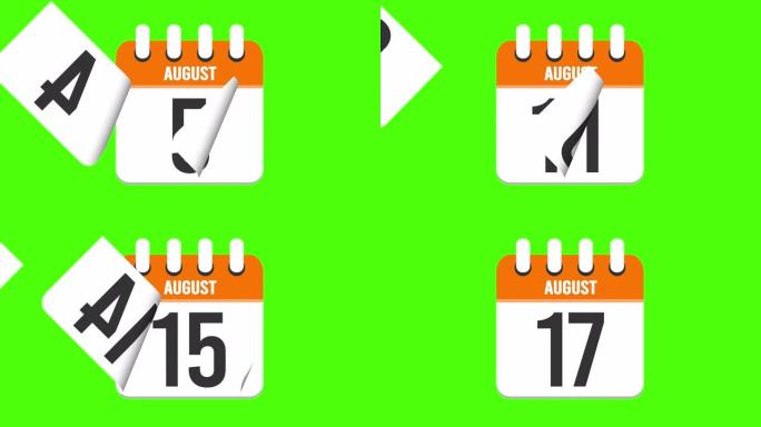 8月17日。日历出现，页面下降到8月17日。绿色背景，色度键 (4k循环)