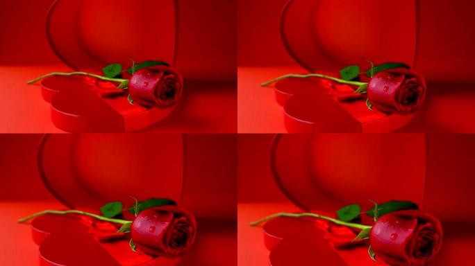 情人节: 空心盒红玫瑰红底