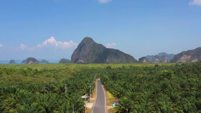 椰树公路攀牙湾全景