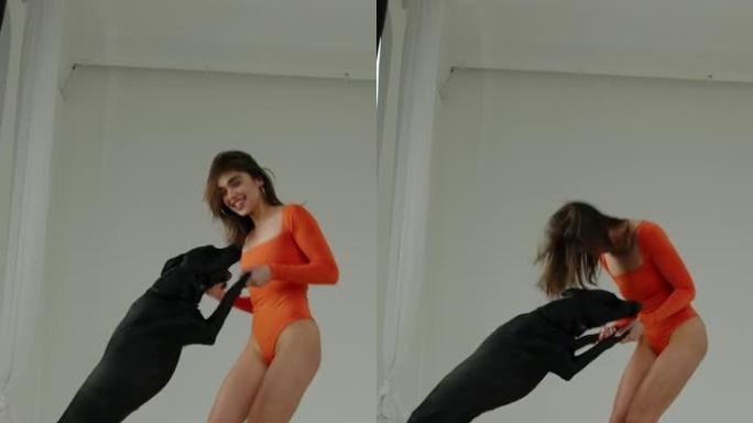穿着鲜艳泳衣的性感女孩在工作室里与一只黑狗在白色背景上的爪子上抱着chi ii跳舞。