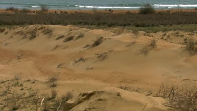 沙丘是积极的地貌; 风形成的沙质山丘。