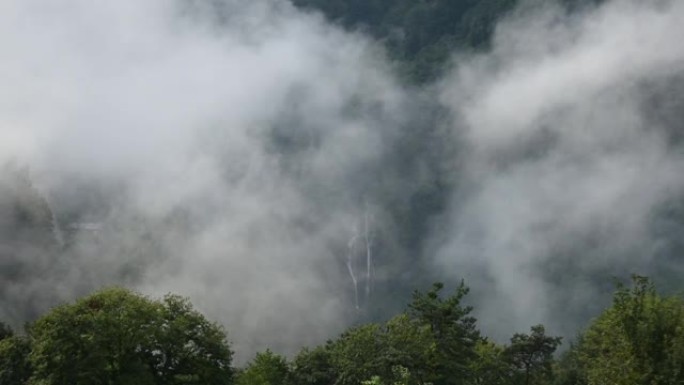 山区森林中的雾天