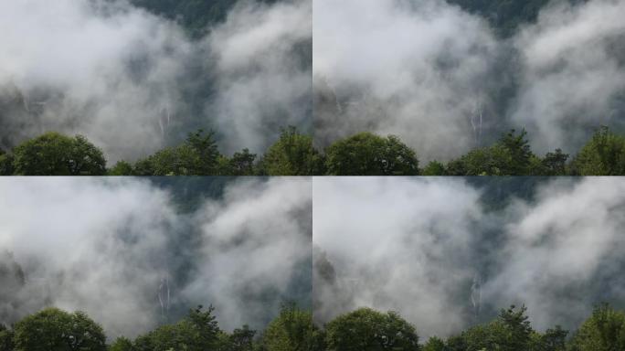 山区森林中的雾天