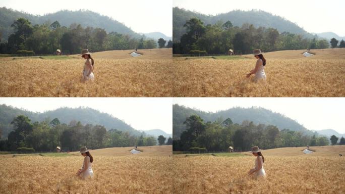 美丽的景色，一个年轻的东南亚女性在白色连衣裙走在大麦麦田