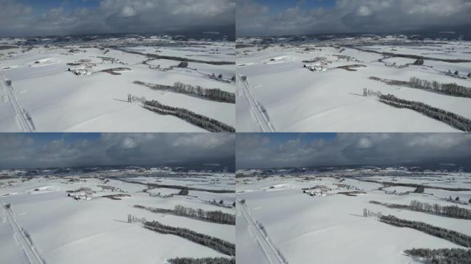 日本富良野