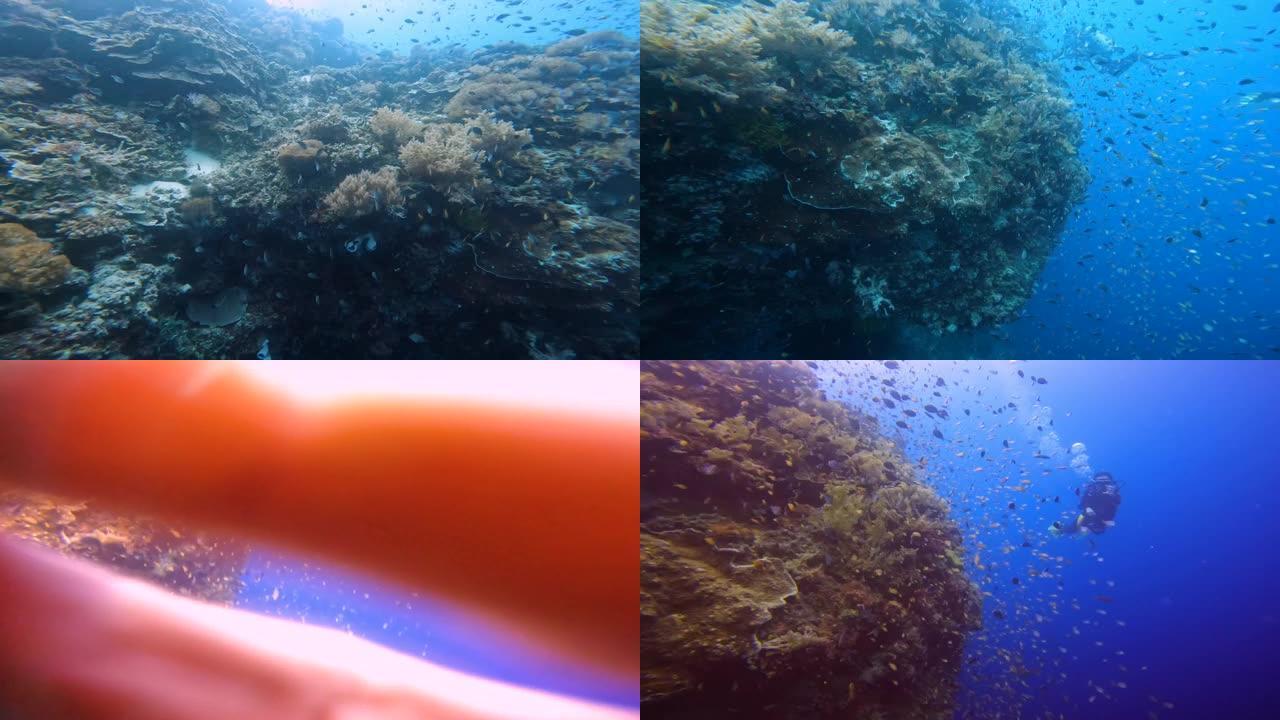 操作员首先显示了珊瑚礁一部分的特写。然后，他的注意力转向了一个伴侣，该伴侣喂养了一大群鱼，并给出了一