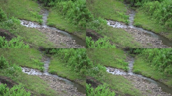 4k中绿色环绕的流动小溪的美丽景色