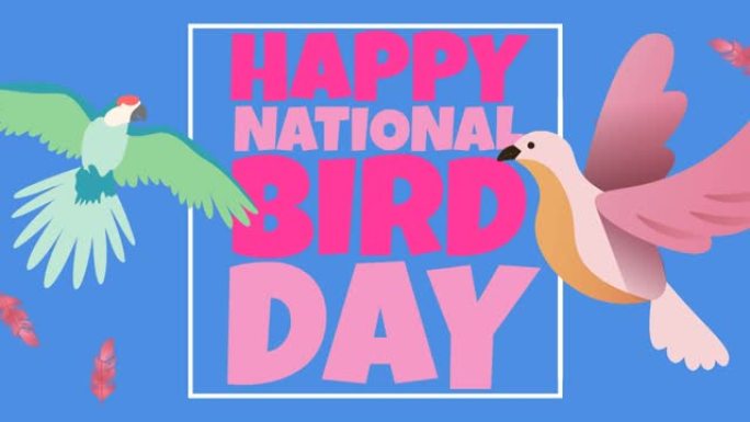 鸟和羽毛图标上的快乐鸟日文本动画