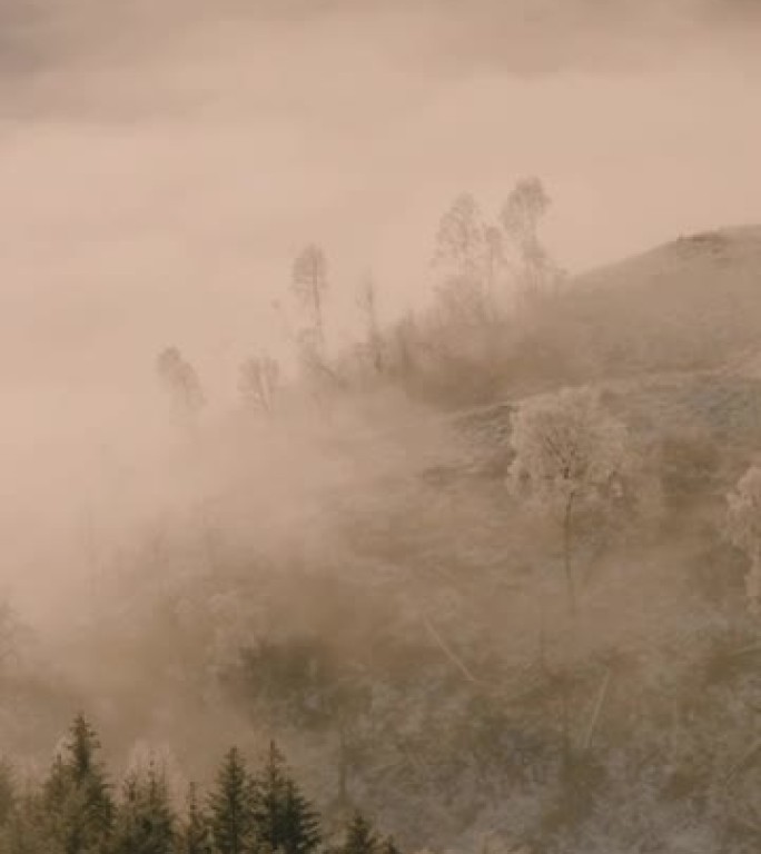 日落时苏格兰高地的空中无人机视图，云雾笼罩森林