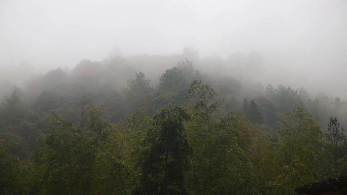 【高清】山间雨后薄雾