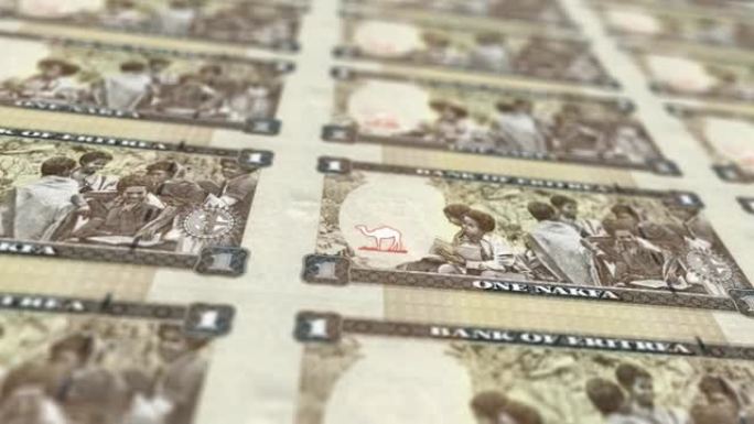 厄立特里亚纳克法的钞票印钞，滚动，现金，循环股票视频