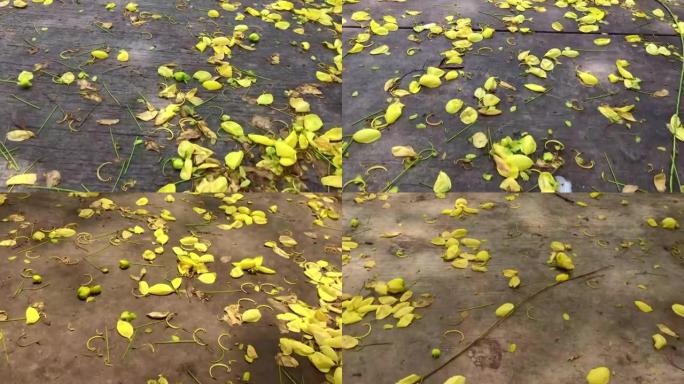 雨后掉落的花瓣在地上