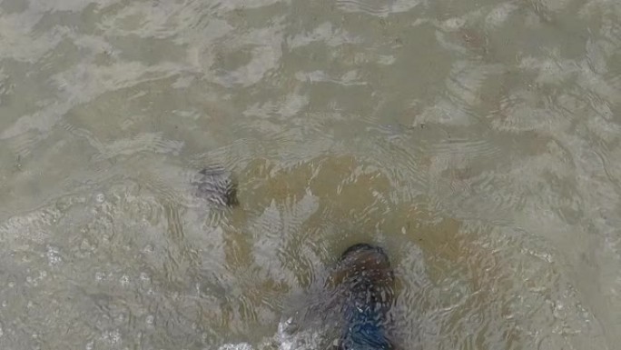 渔夫穿着防水靴在河里涉水。晴天捕捞放生，淡水捕捞。