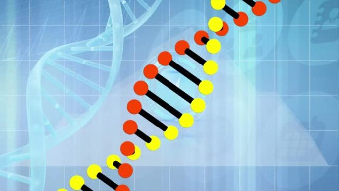 dna链上的时钟移动和医学图标的动画